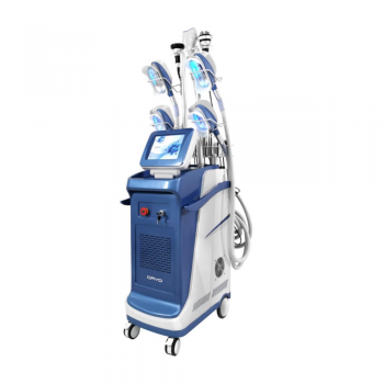 Vertical Cryolipolisis Weight Loss Machine